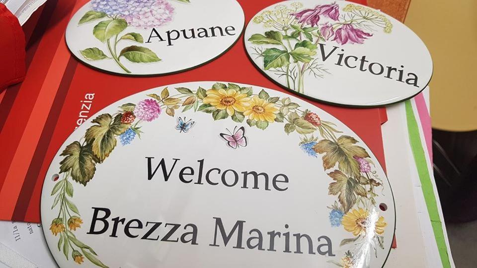 マリーナ・ディ・カッラーラ Brezza Marina Bed & Breakfast エクステリア 写真